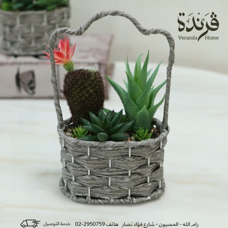سلة قش مع صبار