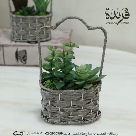 سلة قش مع صبار