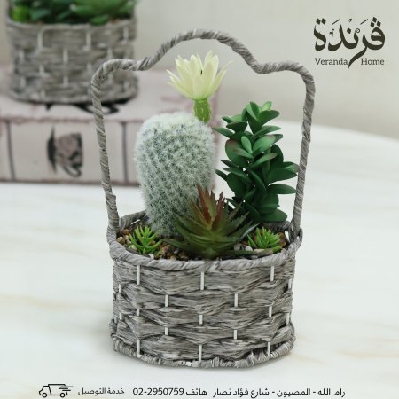 سلة قش مع صبار