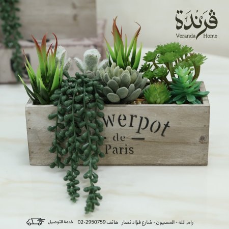 صندوق صبار خشبي