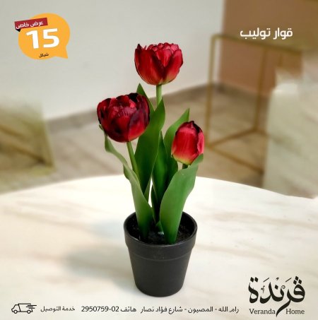 قوار ورد توليب 3 وردات