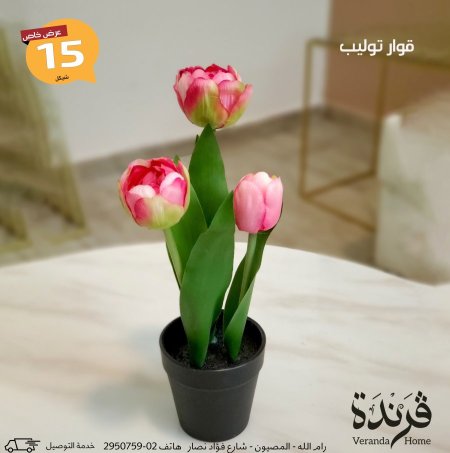 زهري