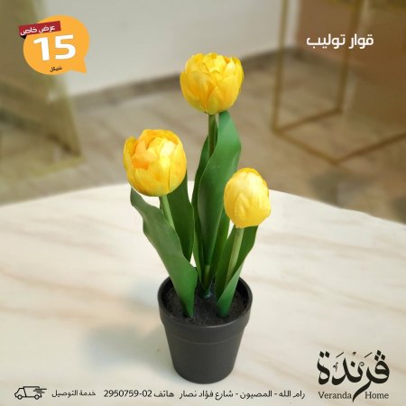 اصفر