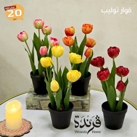 قوار ورد توليب 5 وردات