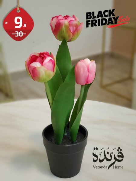 قوار ورد توليب 3 وردات